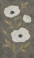 Image Not Available
